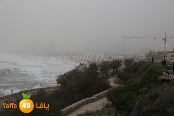 mina2 adrar jfe (20).jpg